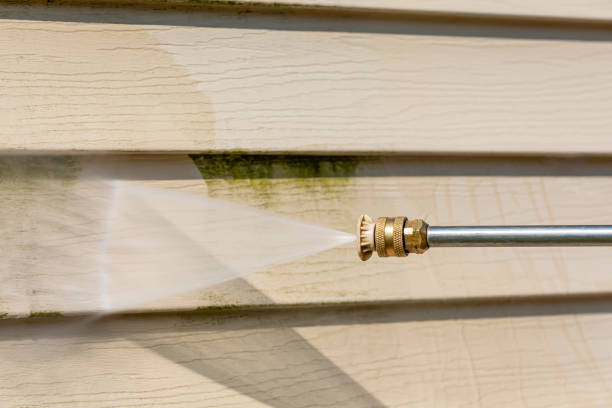 Best Pressure Washing Company Near Me  in Dalton Gardens, ID